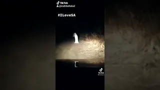 A ghost seen in South Africa