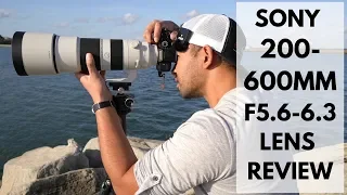 Sony 200-600mm F5.6-6.3 G Series lens Review | John Sison