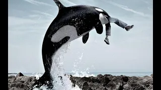 Косатка кит убийца. Документальный фильм от National Geographic.