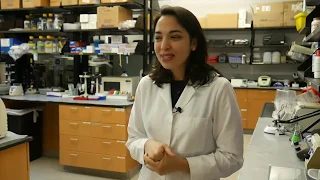 Meet the Researcher -Dr. Ana Clara Bobadilla