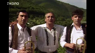 Rade Jorović i Orkestar Svetozara Lazovića Gonga - Bi l' se, mala, smilovala (1995)