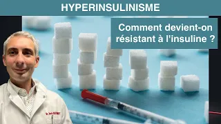 Syndrome Métabolique : Comment devient-on résistant à l'insuline ? Dr Boris Dufournet