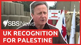 Cameron: UK could recognise Palestinian state after ceasefire in Gaza | SBS News