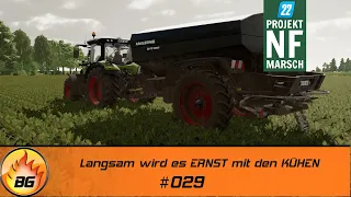 LS22 NF Marsch #029 | Langsam wird es ERNST mit den KÜHEN | FARMING SIMULATOR 22