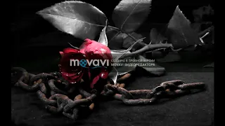 Ivan Valeev – Роза всех ветров