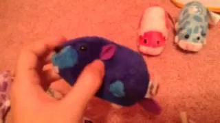 My Updated Zhu Zhu Pets Collection!