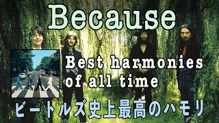 Because [Beatles covers]【ビートルズ全曲弾き語り】| Raging Beatle