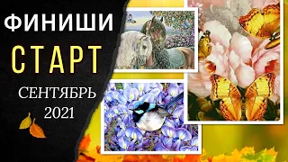 СТАРТ. Вышивка за сентябрь. ФИНИШИ. Итоги голосования