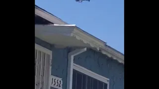 LOS ANGELES POLICE DEPARTMENT (LAPD) HELICOPTER flyover with SIREN