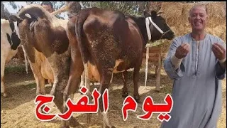 اسعار الحاج رضا النهارده من تحت الارض مش قولتلكم الاسبوع اللي فات انا قلت لازم اخلي الكل يكلم نفسه