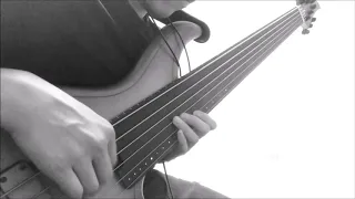 Cynic - Veil of Maya (Outro / Bass Cover)