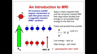 RF Aspects of Magnetic Resonance Imaging