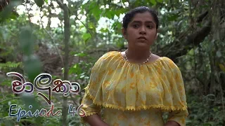 Waluka | Episode 46 - (2018-07-04) | ITN