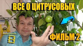 ГРУНТ. ПЕРЕСАДКА. ОСЕНЬ-ВЕСНА. ВСЕ О ВЫРАЩИВАНИИ ЛИМОНА, МАНДАРИНА В ДОМАШНИХ УСЛОВИЯХ ФИЛЬМ 2