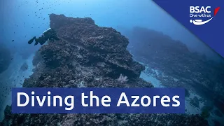 Diving the Azores | Webinar