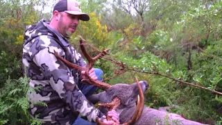 Monster South Texas Bucks with Double Down™ Deer Feed