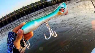 40 LB FISH DESTROY TOPWATER LURE!