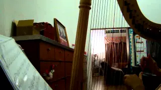 Pachelbel's Canon in D on Harp