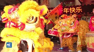 Con desfile de dragones y leones en las calles, Chile abraza el Año Nuevo Chino