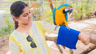 VISITING BIRD PARK  📍CHANDIGARH || Kusum Bhatti Vlogs || #trending #vlog #viral #trending chandigarh