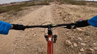 Javelina at south mountain last minutes trail