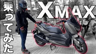 スクーターを超えたスポーツバイク!?XMAXに乗ってみた【YAMAHA、インプレ、レビュー】