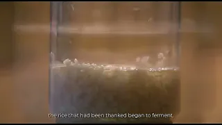 Masaru Emoto's Rice Experiment in FHD with English Caption