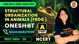 Structural Organization In Animal (Frog )One Shot | Biology Marathon 🏃‍♀| Target 360/360 💯NEET 24-25