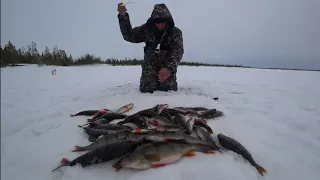 ВОТ ЭТО ПОРОСЯТА ЗДЕСЬ ЛОВЯТСЯ В ЛУНКУ НЕ ЛЕЗУТ!!! ПОПАЛ НА ВЕСЕННИЙ ЖОР ОКУНЕЙ!!! РЫБАЛКА 2024г