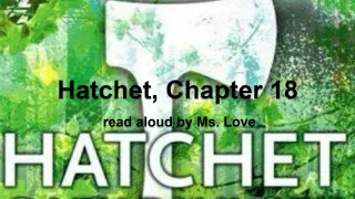 Hatchet, by Gary Paulsen, Chapter 18