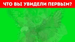 Первое Животное, Которое вы Увидите, Откроет Тайны Вашего Характера