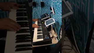 Love me With All of your Heart - Roland BK7M