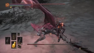 Gael ng+7 greatsword+10 lvl 265