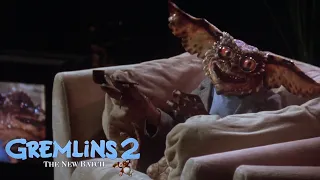 Gremlins 2: El Plan De Los Gremlins