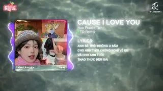 Cause I Love You - Noo Phước Thịnh | TD Remix