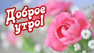 Доброе утро! Пусть это утро принесет тебе удачу, счастье и заряд энтузиазма на весь день!