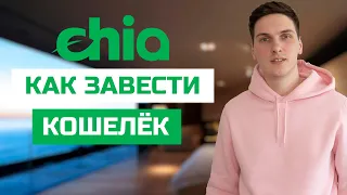 Как завести кошелёк в Chia