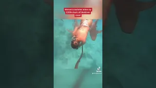 Moment snorkeler bitten by 220lb shark off Maldives coast #shorts