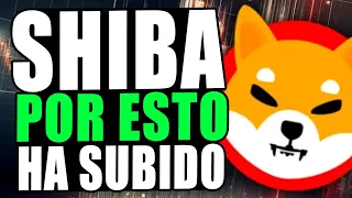 SHIBA INU: POR ESTE MOTIVO SHIBA ESTÁ AUMENTANDO DE PRECIO EL DÍA DE HOY | NOTICIAS DE SHIBA INU