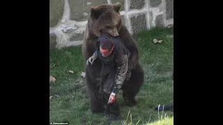 Shocking Bear Attack Caught on Video