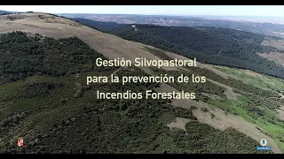 Gestión Silvopastoral para la prevención de los incendios forestales