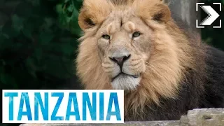 Españoles en el mundo: Tanzania (1/3) | RTVE