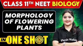 MORPHOLOGY OF FLOWERING PLANTS in One Shot |Class 11th + NEET Biology|All Concepts, Tricks and PYQ's