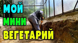 Мой мини вегетарий