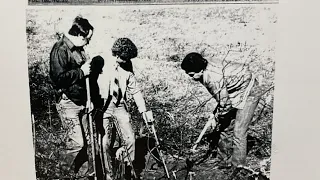 Smith County officials identify skeletal remains found nearly 40 years ago as those of Dallas-Fort W