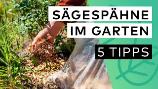 Holzspäne Garten 🪵 🏡 5 TIPPS, wie du sie RICHTIG & EFFEKTIV nutzen kannst ✅