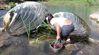 😱😱Secret Treasure: The girl opens the clam and reveals a striking pearl