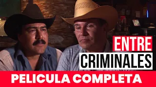 ENTRE CRIMINALES 🎬 Película Completa en Español