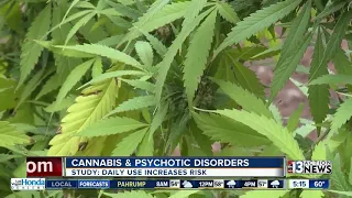 Study: Daily cannabis use increases risk of psychotic disorder