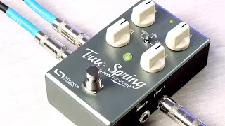 True Spring Reverb: Official Demo